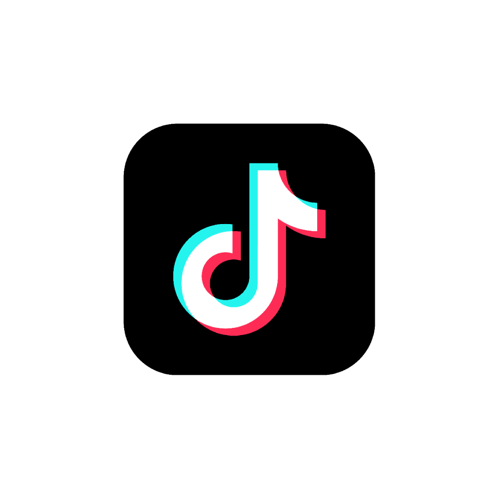 TikTok icon